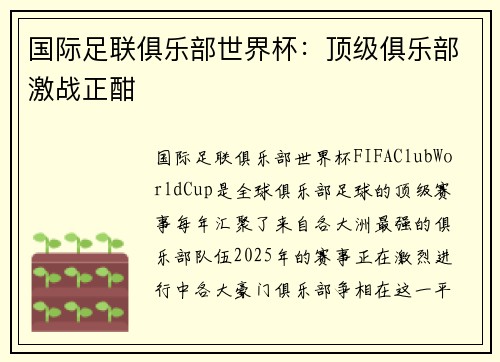 国际足联俱乐部世界杯：顶级俱乐部激战正酣