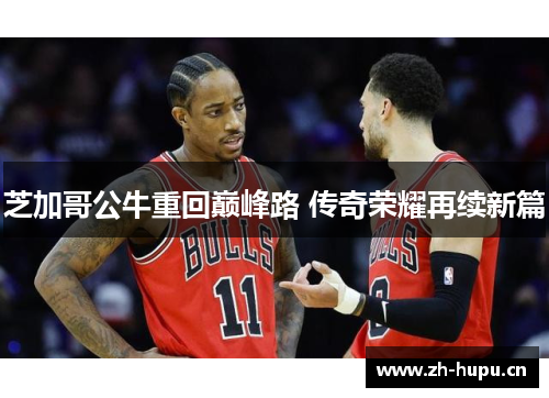 芝加哥公牛重回巅峰路 传奇荣耀再续新篇