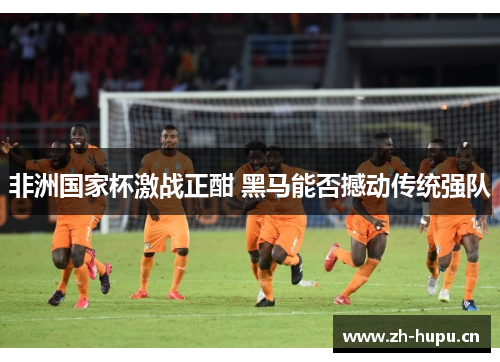 非洲国家杯激战正酣 黑马能否撼动传统强队